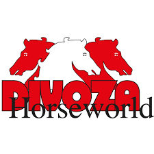 Divoza Horseworld Vouchers Codes